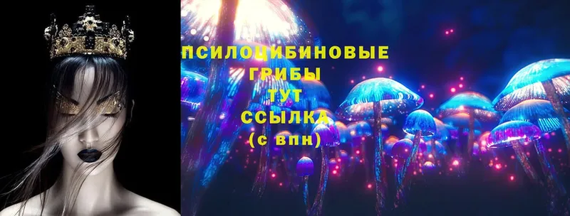 что такое наркотик  Нестеров  Псилоцибиновые грибы Psilocybe 